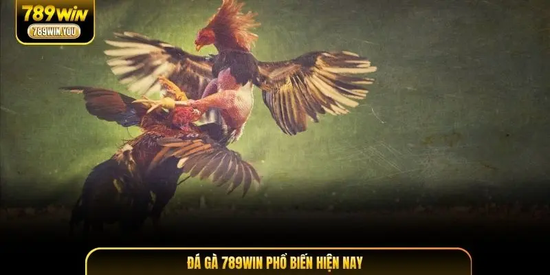 Đá gà 789WIN phổ biến hiện nay